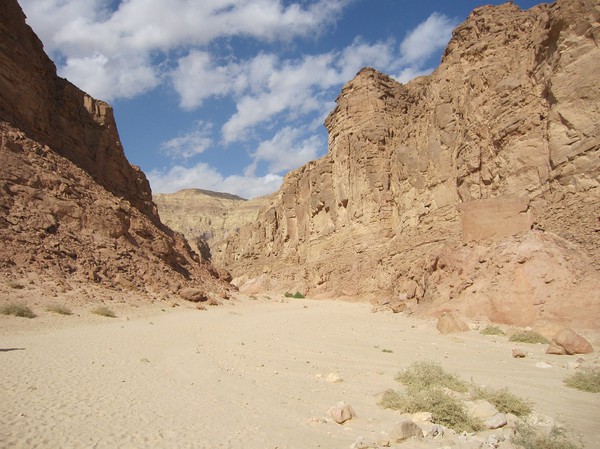 Safari i Coloured Canyon, Sinai.