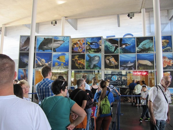 L' Aquarium de Barcelona.