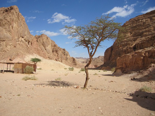 Safari i Coloured Canyon, Sinai.