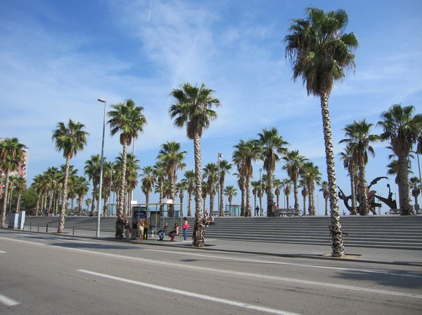 Hamnområdet vid Barceloneta, Barcelona.