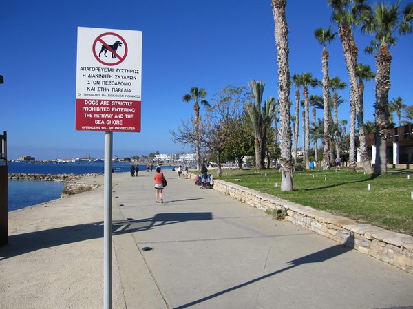 Strandpromenaden i Pafos, Cypern.