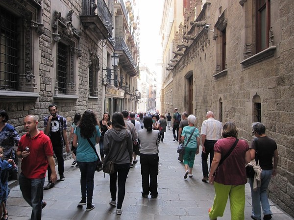 Gatan Carrer del Bisbe, La Ribera, Barcelona.