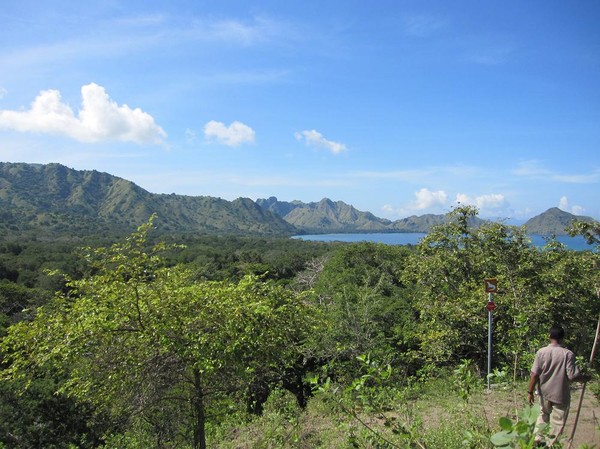 Bättre trekking än så här blir det inte. Helt enkelt fantastisk natur, Komodo island.