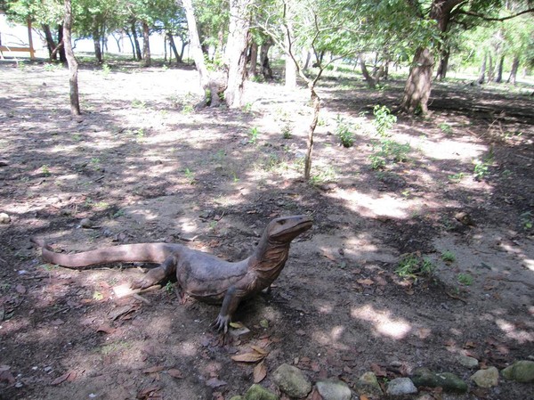 En fejkvaran att beskåda för de mindre lyckligt lottade, Komodo island.