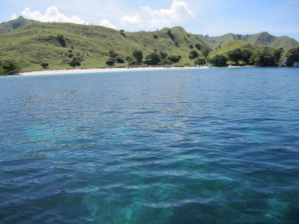 På väg hemåt mot Labuan Bajo, men först ett stopp på Pink beach som ligger på Komodo island för snorkling. Pink beach är en av ett fåtal stränder i världen med rosa sand!