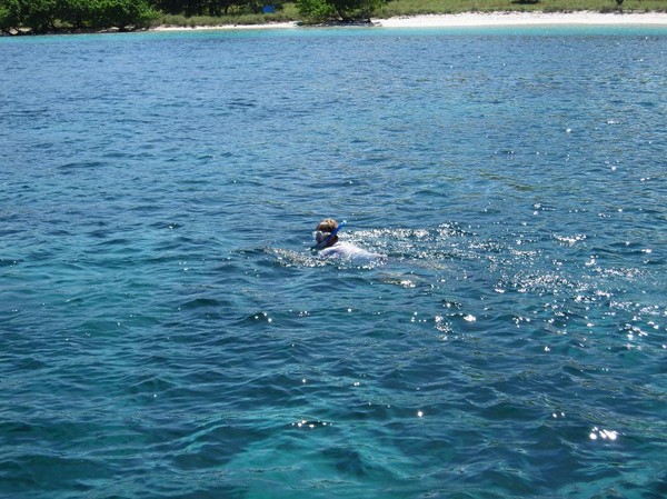 Snorkling på Pink beach, Komodo island.