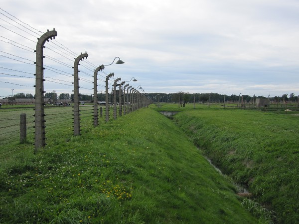 Elstängsel med ruiner i bakgrunden, Birkenau.