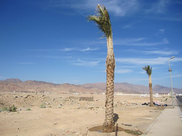 Dahab, Sinai, Egypten.