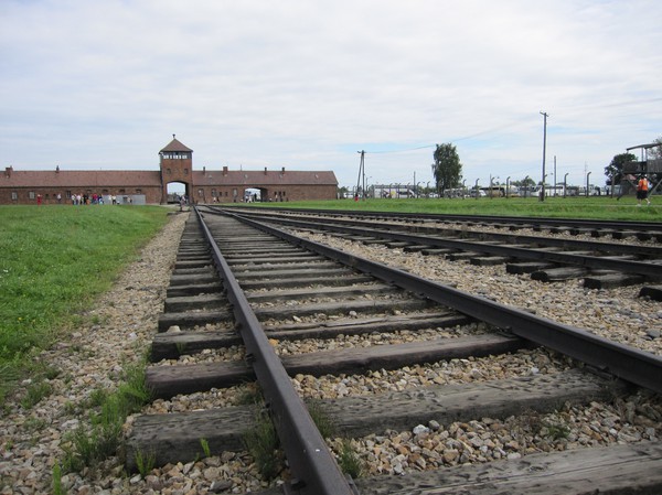 Det var denna syn som mötte fångarna när de klev av tågvagnarna i Birkenau. Sedan ställde de upp på led, kvinnor och män i var sitt led. Barnen fick sedan välja om de ville stå med mamma eller pappa. Urvalet kunde börja. Man uppskattar att 75 % skickades direkt till gaskamrarna.