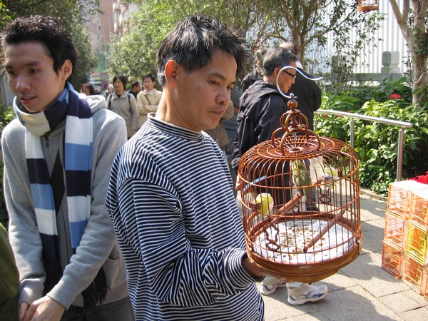 Bird Market, Kowloon, Hongkong.