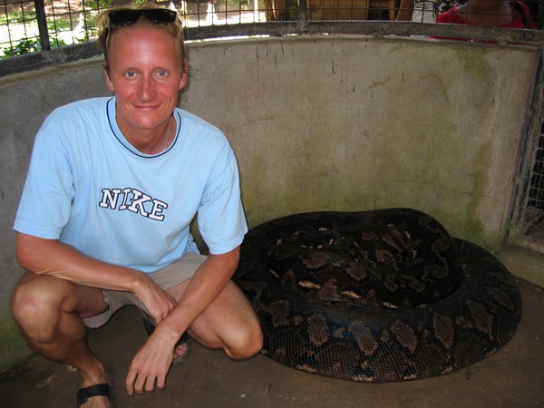 Den i fångenskap uppfödda pytonormen Prony, 23 fot lång och 250 kilo tung, Albuquerque, Bohol.