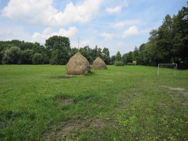 Härsat hö, Lübbenau, Spreewald.