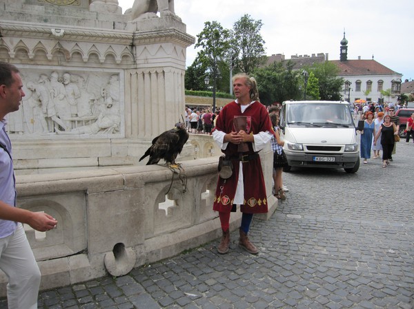 Man med fågel, vid St Stephen statue, Budapest castle District.