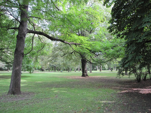 Margaret island, Budapest.