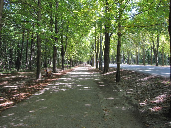 På promenad i Praterområdet, Wien.