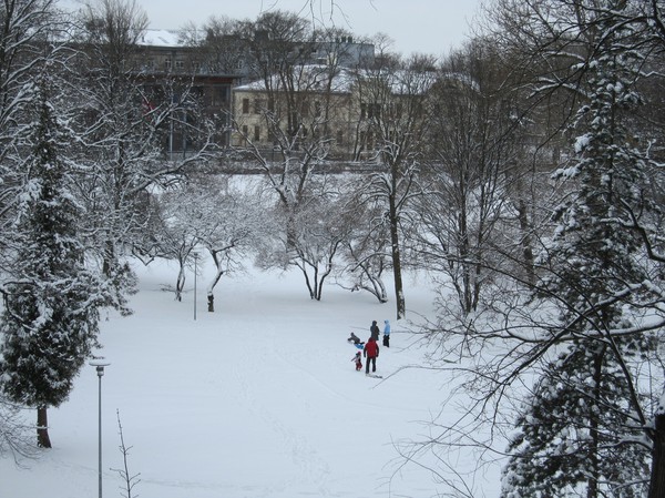 Pulkväder i Hirvepark, centrala Tallinn.