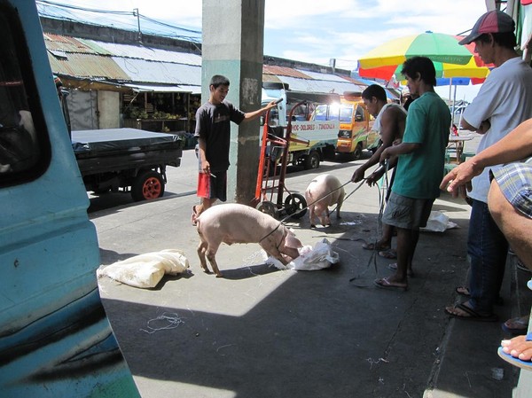 Grisförsäljning på marknaden i Ormoc, Leyte.