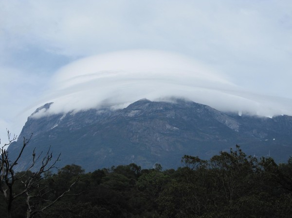 Mount Kinabalu i närheten av park entrén. Ser ut som ett UFO landat på toppen!