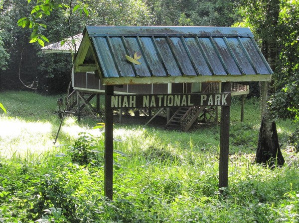 Starten på trekkingleden i Niah National park.