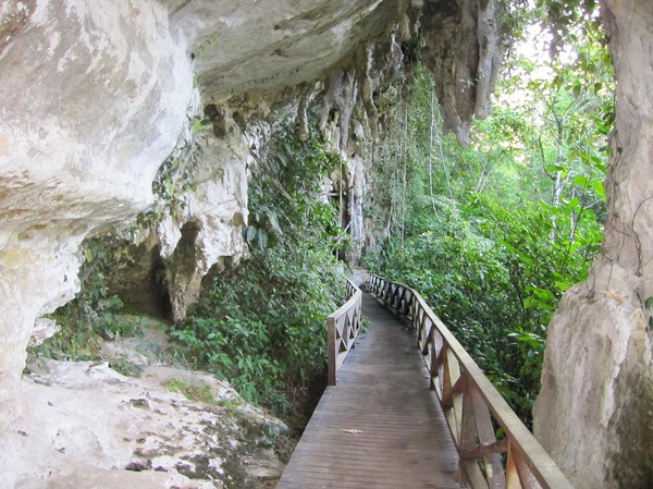 Del av leden i Niah National park.