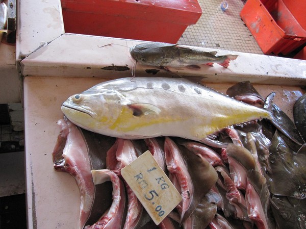 Avdelning skumma fiskar, fiskmarknaden Miri.