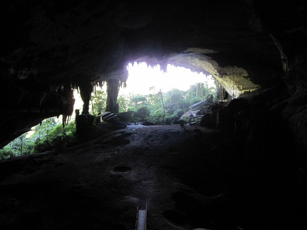 Niah cave's öppning, en av världens största grottöppningar. 60 meter hög och 250 meter bred!