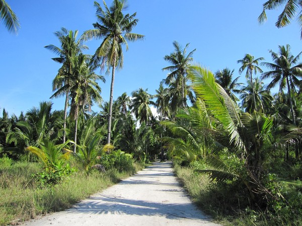 Öliv, Bantayan island.