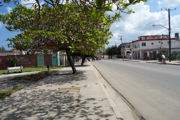 Gatuscen Guanabo, Playas del Este, Havanna.