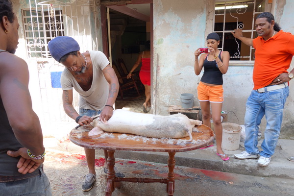 Styckning av gris, Centro Habana, Havanna.