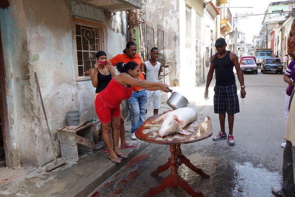 Styckning av gris, Centro Habana, Havanna.