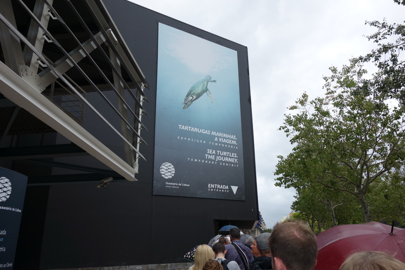 Kön in till Oceanário de Lisboa, Parque das Nações, Lissabon.