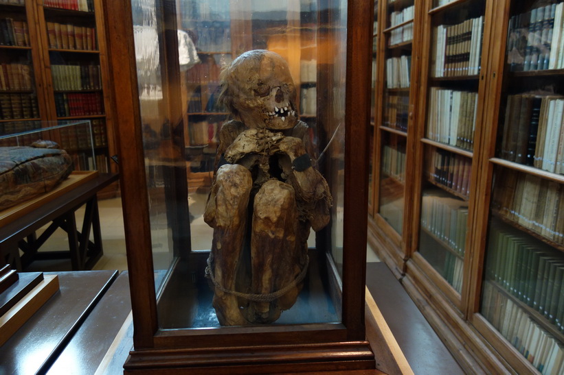 Peruansk mumie i arkeologsiska museet i anslutning till Convento do Carmo, Lissabon.