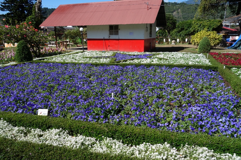 Feria de las flores y el café 2015, Boquete.