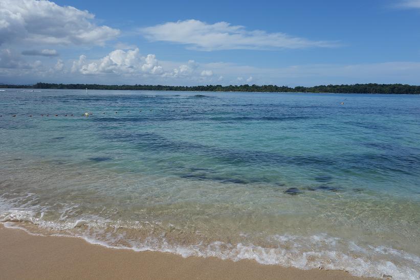 Boca del Drago, Isla Colon.