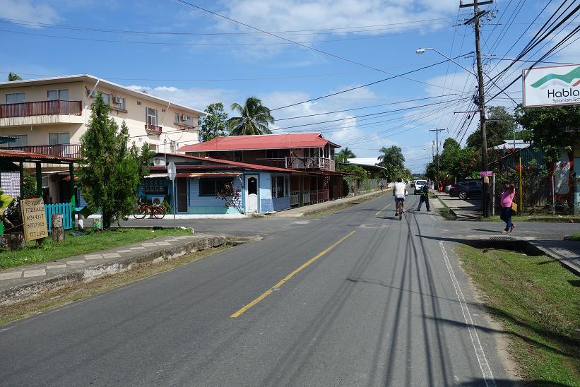 Gatuscen i Bocas Town, Bocas del Toro.