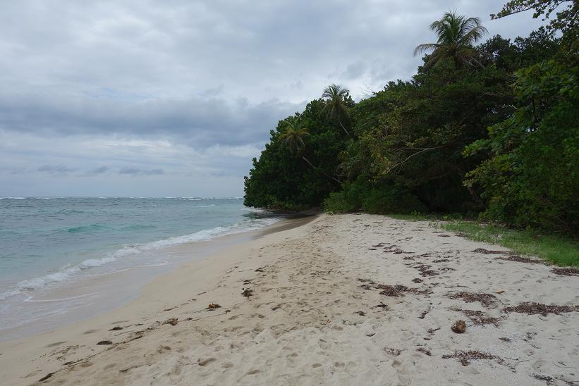 Vackra Cayo Zapatilla I, Bocas del Toro.