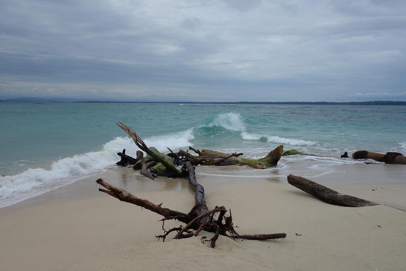 Vackra Cayo Zapatilla I, Bocas del Toro.