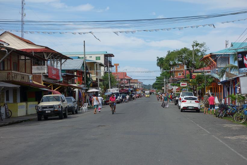 Gatuscen i Bocas Town, Bocas del Toro.