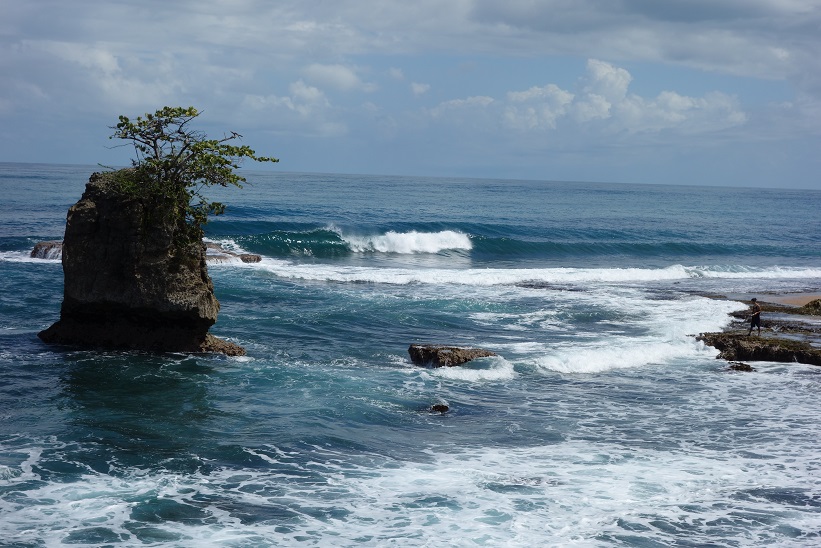 Naturen i Refugio Nacional de Vida Silvestre Gandoca-Manzanillo.