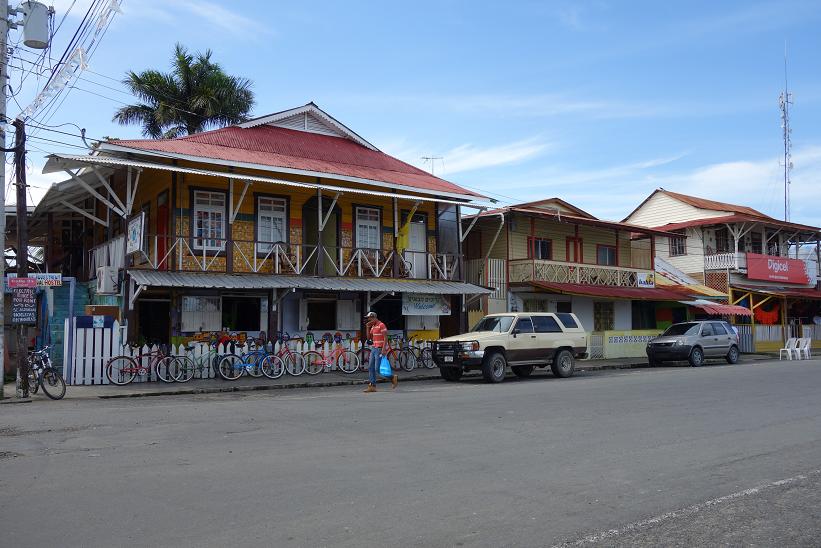 Gatuscen i Bocas Town, Bocas del Toro.