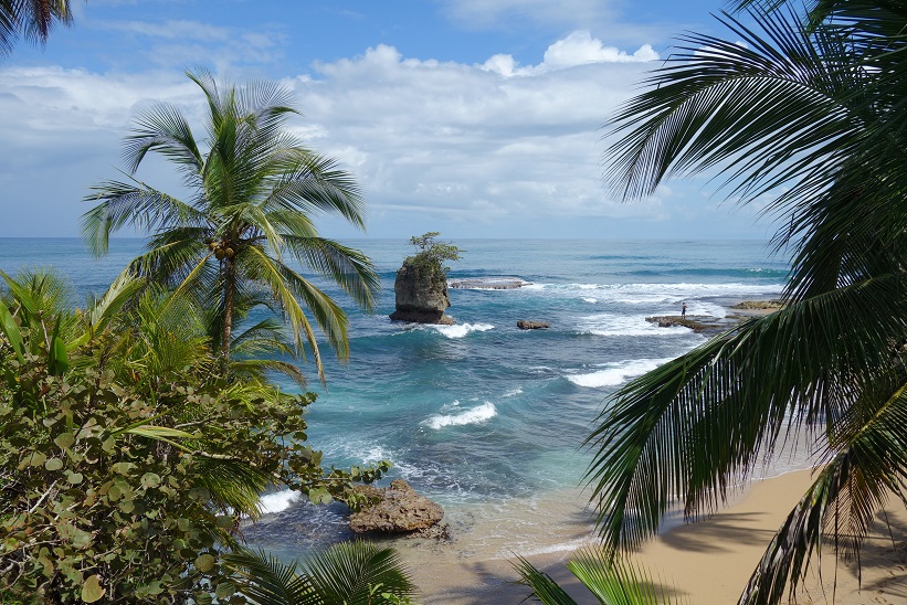 Naturen i Refugio Nacional de Vida Silvestre Gandoca-Manzanillo.