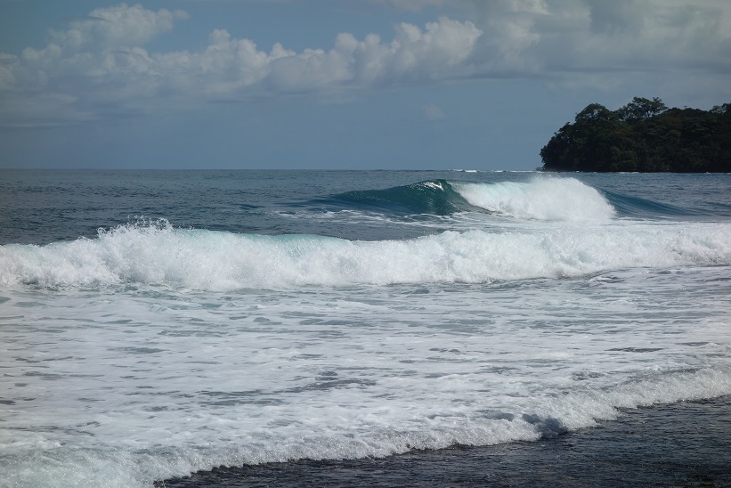 Naturen i Refugio Nacional de Vida Silvestre Gandoca-Manzanillo.