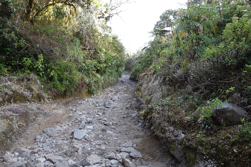 Vandringen ner från Volcán Barú.