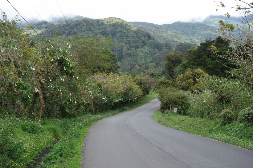 Magiskt vacker natur, Boquete.