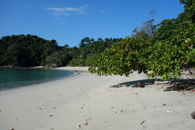 Vackra Manuel Antonio Beach, Costa Rica.