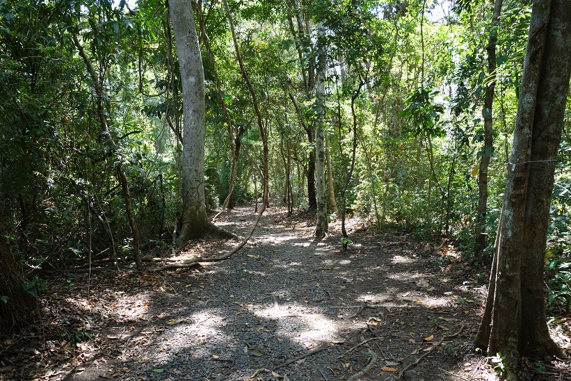 Parque Natural Metropolitano, Panama city.