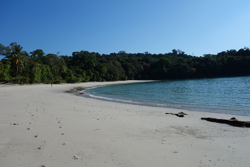 Vackra Manuel Antonio Beach, Costa Rica.