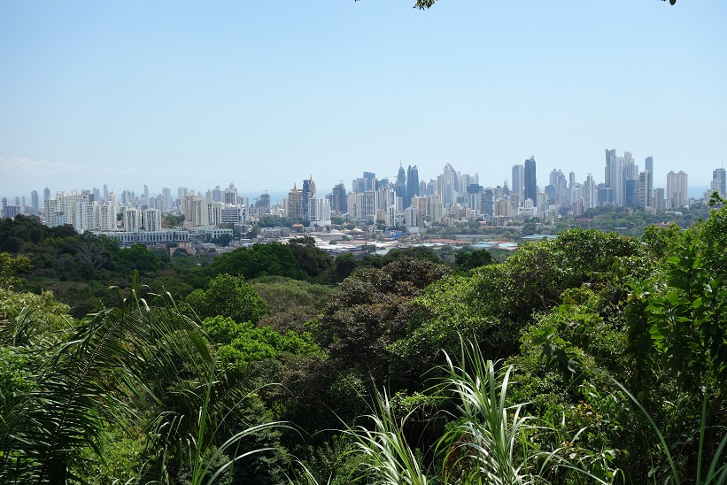 Vy över Panama city från Parque Natural Metropolitano, Panama city.