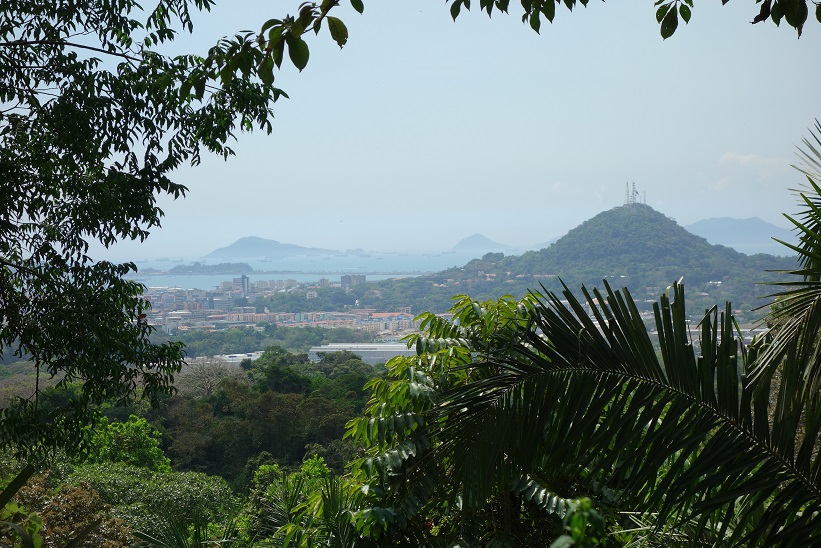 Vy över Panama city från Parque Natural Metropolitano, Panama city.