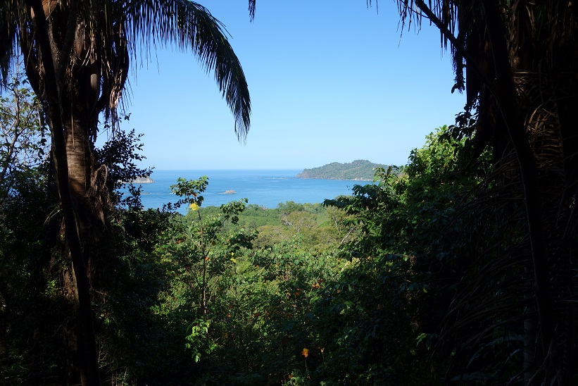 Regnskogen i Parque Nacional Manuel Antonio, Costa Rica.